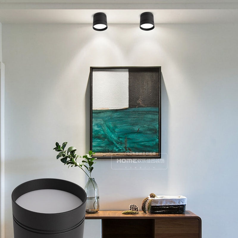 Round Dimmable LED Ceiling Downlight 5/7/9/12/15/18/20/24W Surface Mounted Spotlights Kitchen Bedroom Livingroom Indoor Lighting