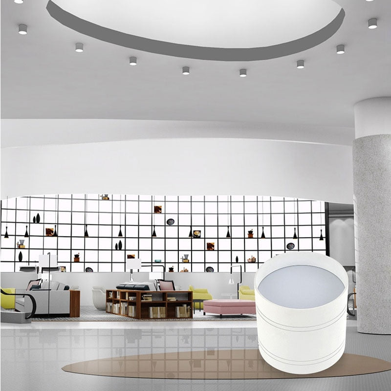 Round Dimmable LED Ceiling Downlight 5/7/9/12/15/18/20/24W Surface Mounted Spotlights Kitchen Bedroom Livingroom Indoor Lighting