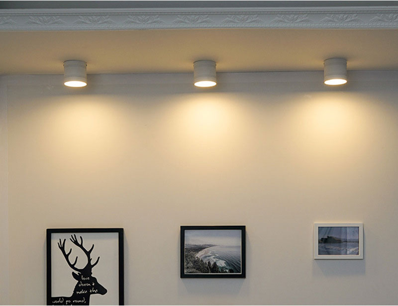 Round Dimmable LED Ceiling Downlight 5/7/9/12/15/18/20/24W Surface Mounted Spotlights Kitchen Bedroom Livingroom Indoor Lighting