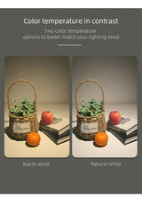 Aisilan LED Downlight narrow border anti-glare Spot light household large arc downlight aisle without master led Recessed light