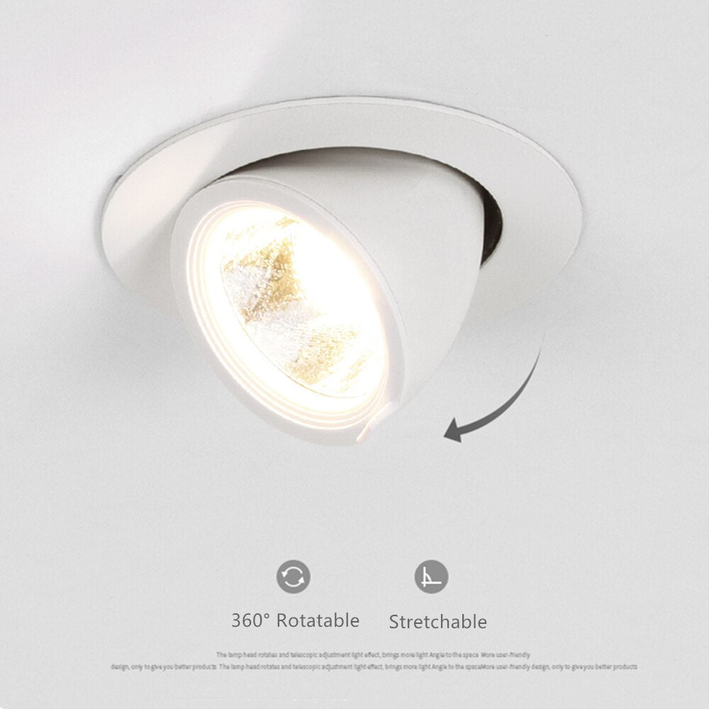 DBF Angle Adjustable LED Downlights 7W 10W 12W 15W 20W Dimmable Ceiling Spot Lights AC85-265V for Living room TV Background