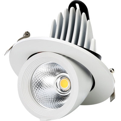 LED trunk light COB LED gimbal light 10W 15W 30W Warm White Cold White COB LED gimble lamp rotatable led downlight Adjustable