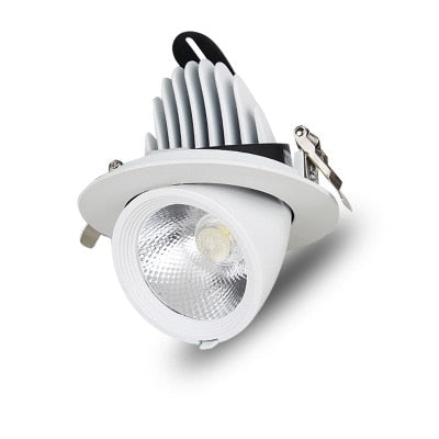 LED trunk light COB LED gimbal light 10W 15W 30W Warm White Cold White COB LED gimble lamp rotatable led downlight Adjustable