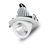 LED trunk light COB LED gimbal light 10W 15W 30W Warm White Cold White COB LED gimble lamp rotatable led downlight Adjustable