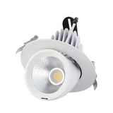 LED trunk light COB LED gimbal light 10W 15W 30W Warm White Cold White COB LED gimble lamp rotatable led downlight Adjustable