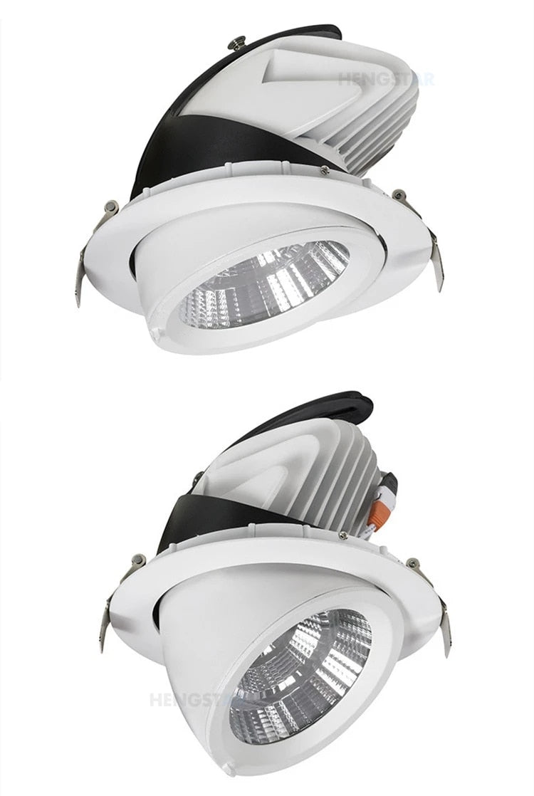 LED trunk light COB LED gimbal light 10W 15W 30W Warm White Cold White COB LED gimble lamp rotatable led downlight Adjustable