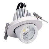 LED trunk light COB LED gimbal light 10W 15W 30W Warm White Cold White COB LED gimble lamp rotatable led downlight Adjustable
