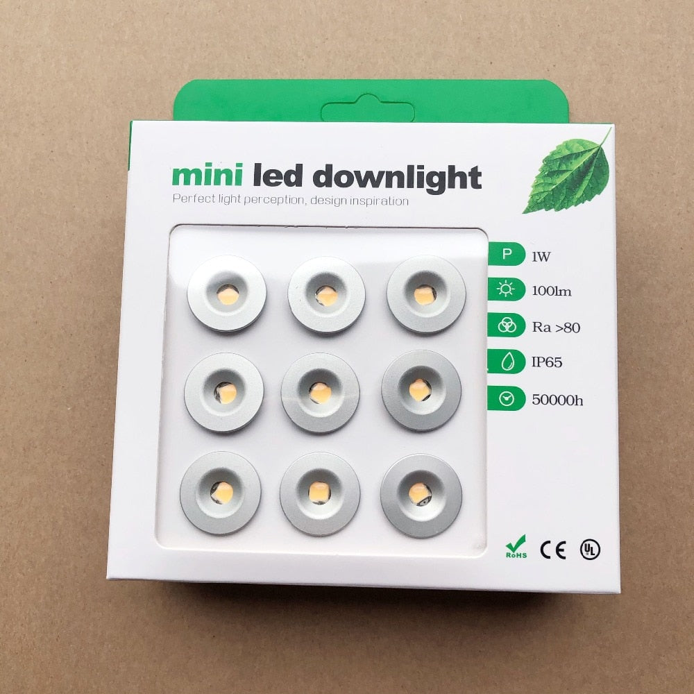 Mini LED Downlight Square Round 1W IP65 9pcs 1W Outdoor Garden Bathroom Corridor Ceiling Spot Bulb Light Sauna Lighting DC12V