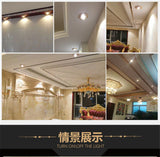 Europe Luxury Gold Resin Peacock Feather Embedded Downlights 3W 5W 110V 220V Open Hole 6Cm Corridor Led Lamp Foyer Art Spotlight