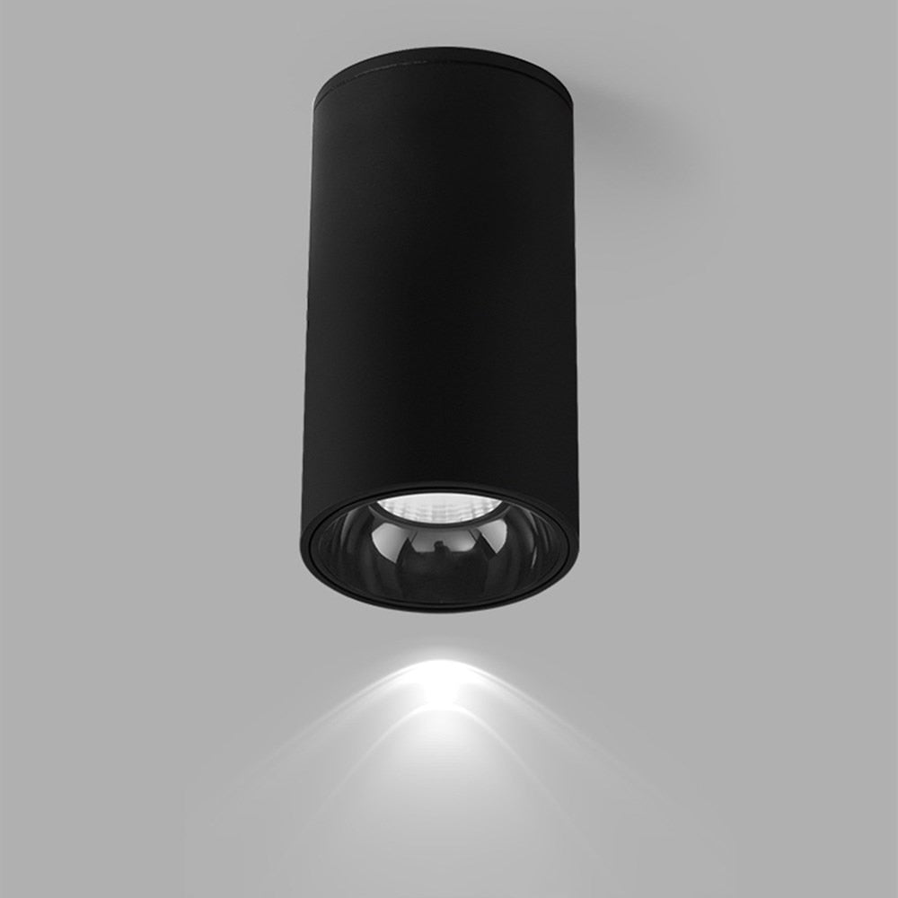 Modern Surface Mounted Downlight Led Aluminum COB Spot Led Lamp Ceiling Lamp 15W 20W High Brightness For Home Stores Office