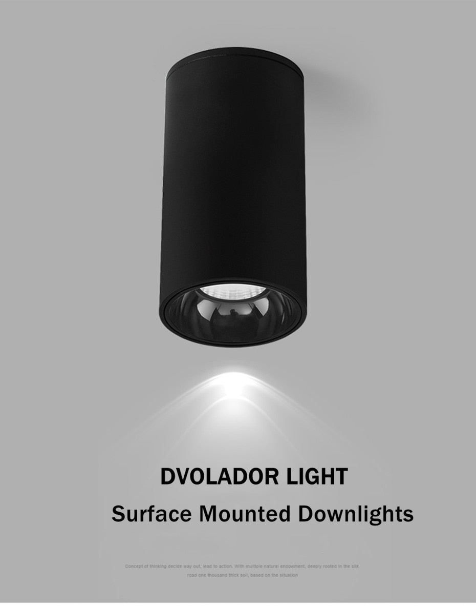 Modern Surface Mounted Downlight Led Aluminum COB Spot Led Lamp Ceiling Lamp 15W 20W High Brightness For Home Stores Office