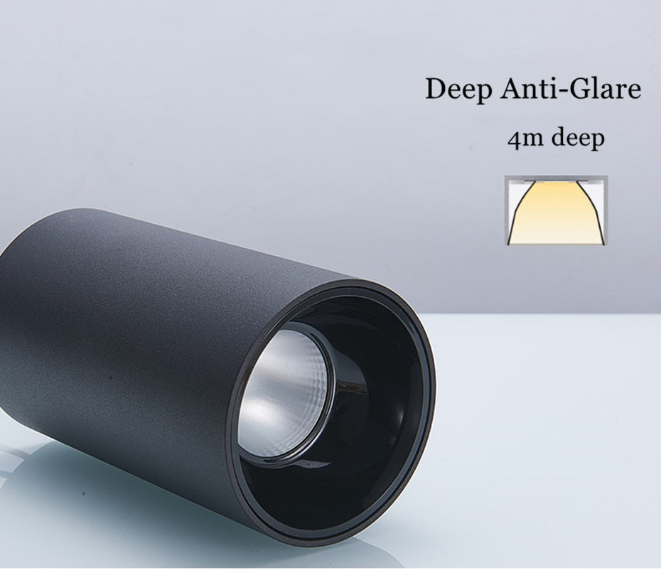 Modern Surface Mounted Downlight Led Aluminum COB Spot Led Lamp Ceiling Lamp 15W 20W High Brightness For Home Stores Office