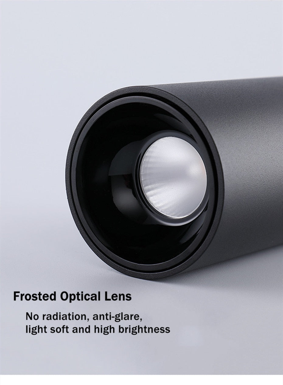 Modern Surface Mounted Downlight Led Aluminum COB Spot Led Lamp Ceiling Lamp 15W 20W High Brightness For Home Stores Office