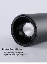 Modern Surface Mounted Downlight Led Aluminum COB Spot Led Lamp Ceiling Lamp 15W 20W High Brightness For Home Stores Office