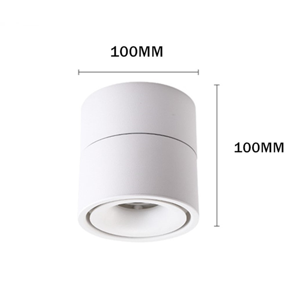 360 Degree Rotatable Dimmable LED Downlight 15W 10W background spot light led Nordic LED Ceiling lamp 85-265V Indoor Track Lamps