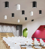 Dimmable LED Downlights 7W 9W 12W 15W 18W 20W COB LED Ceiling Spot Lights AC110-220V LED Wall Lamp Ceiling lamp Indoor Lighting