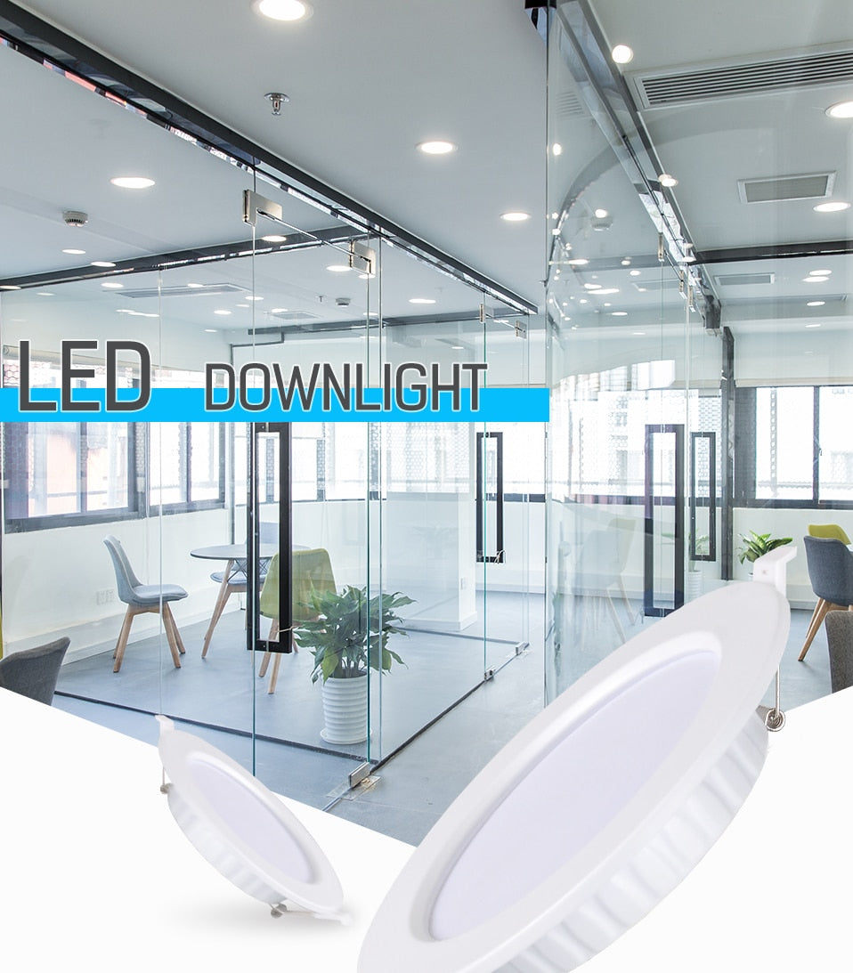 LED Downlight 12W 20W Recessed Round LED Ceiling Lamp AC 220V Indoor Lighting Warm White/White