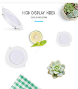 LED Downlight 12W 20W Recessed Round LED Ceiling Lamp AC 220V Indoor Lighting Warm White/White