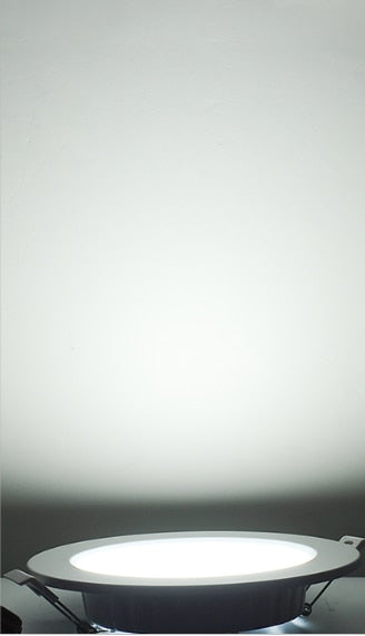 LED Downlight 12W 20W Recessed Round LED Ceiling Lamp AC 220V Indoor Lighting Warm White/White