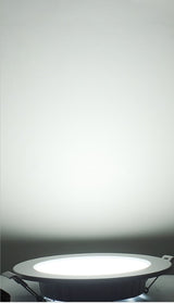 LED Downlight 12W 20W Recessed Round LED Ceiling Lamp AC 220V Indoor Lighting Warm White/White