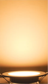 LED Downlight 12W 20W Recessed Round LED Ceiling Lamp AC 220V Indoor Lighting Warm White/White