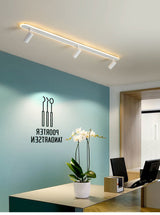 Modern Led Ceiling Lights For Living Room Bedroom Study Wardrobe Commercial Place Clothing Store Home Deco ceiling Lamp Black