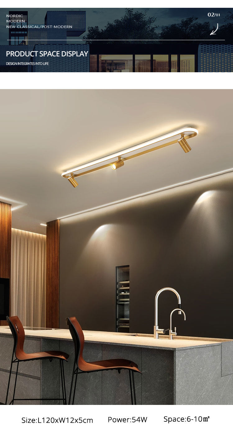 Modern Led Ceiling Lights For Living Room Bedroom Study Wardrobe Commercial Place Clothing Store Home Deco ceiling Lamp Black