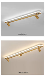 Modern Led Ceiling Lights For Living Room Bedroom Study Wardrobe Commercial Place Clothing Store Home Deco ceiling Lamp Black