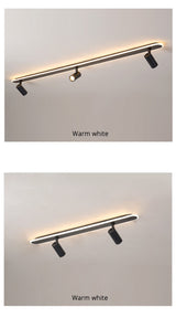 Modern Led Ceiling Lights For Living Room Bedroom Study Wardrobe Commercial Place Clothing Store Home Deco ceiling Lamp Black