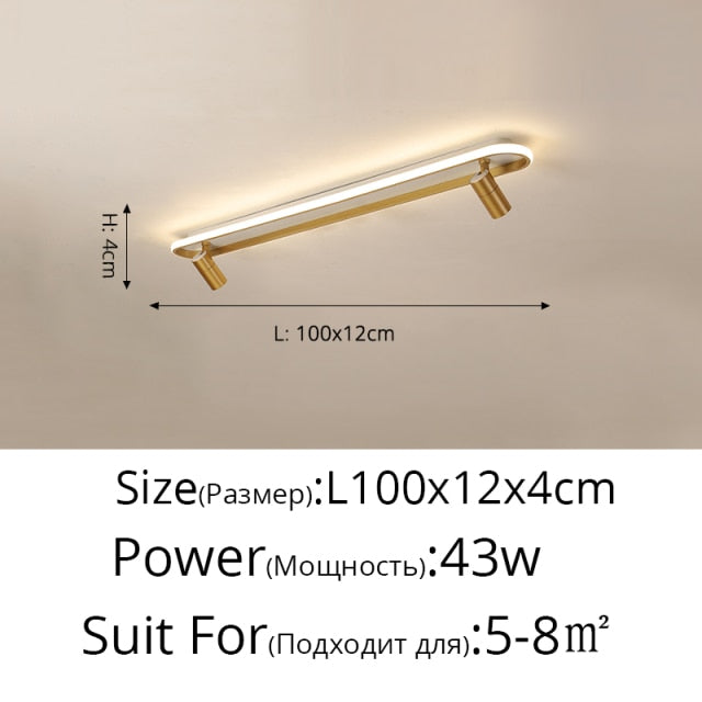 Modern Led Ceiling Lights For Living Room Bedroom Study Wardrobe Commercial Place Clothing Store Home Deco ceiling Lamp Black