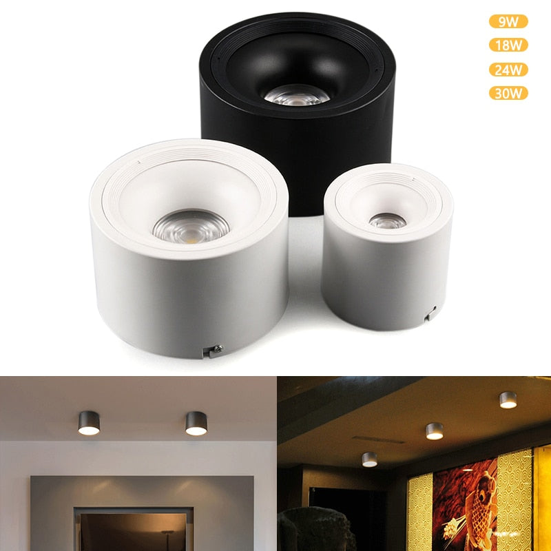 Surface Mounted Ceiling Downlight 9W 18W 24W 30W AC85-265V lamp COB Led downlights Indoor Ceiling Spot light +led driver