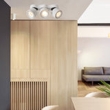 Dimmable Folding Rotating LED Downlights 27W 36W 48W COB LED Ceiling Spot Lights AC 110V 220 230V Room Lamps Indoor Lighting