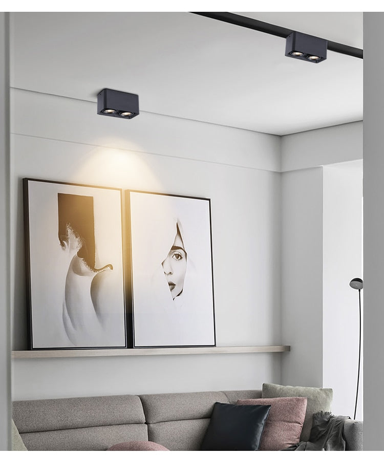 Dimmable surface mounted LED downlight 10W 15W 20W 30W COB LED ceiling spotlight AC110-220V LED  indoor lighting