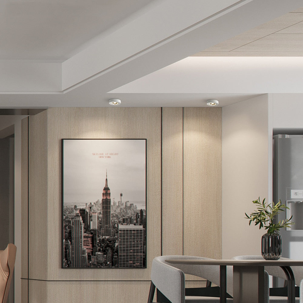 DBF Super Thin LED Surface Mounted Downlight 3W 5W 7W 9W Round Driverless Ceiling Spot Lamp for Cabinet Showcase AC 220V