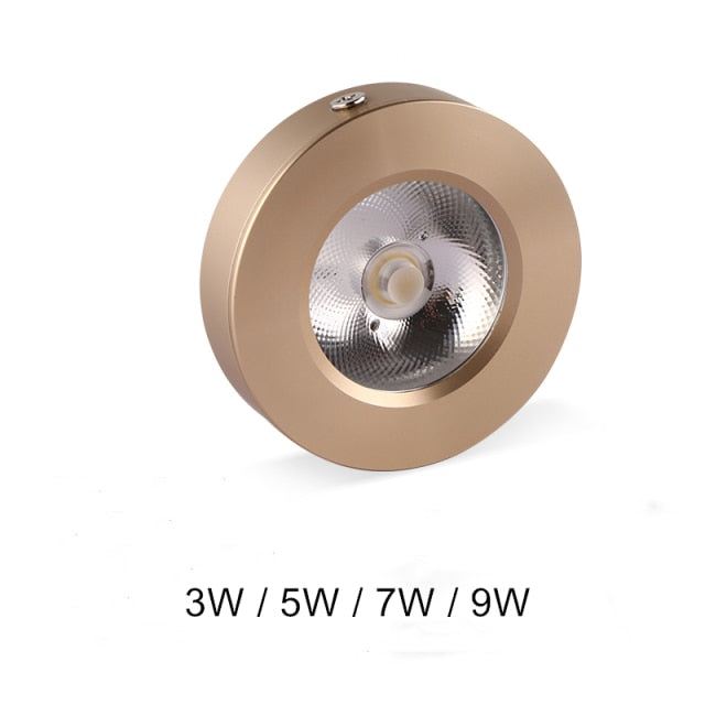 DBF Super Thin LED Surface Mounted Downlight 3W 5W 7W 9W Round Driverless Ceiling Spot Lamp for Cabinet Showcase AC 220V