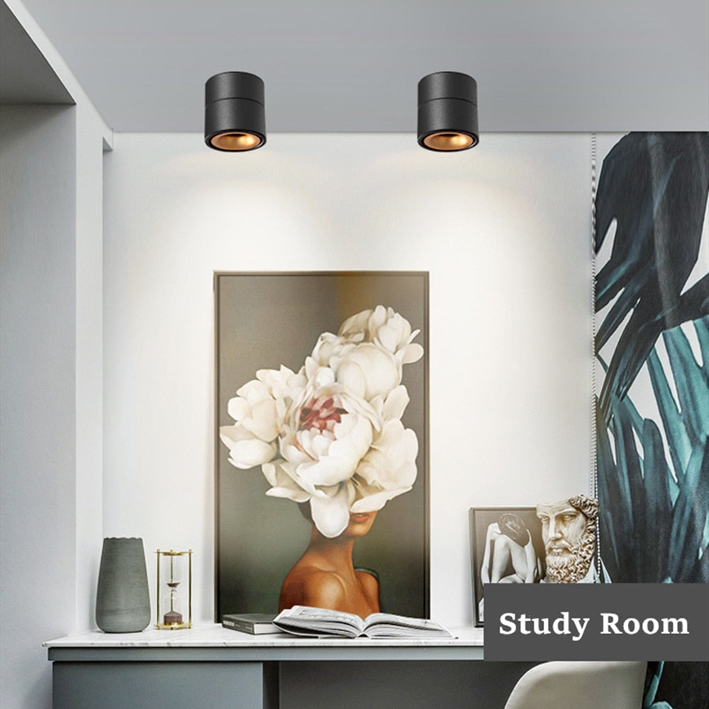 DBF Angle Adjustable LED Surface Downlight 360 Degree Rotatable 7W 10W 12W 15W LED Ceiling Spot Lamp AC85-265V Indoor Lighting