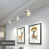 DBF Angle Adjustable LED Surface Downlight 360 Degree Rotatable 7W 10W 12W 15W LED Ceiling Spot Lamp AC85-265V Indoor Lighting