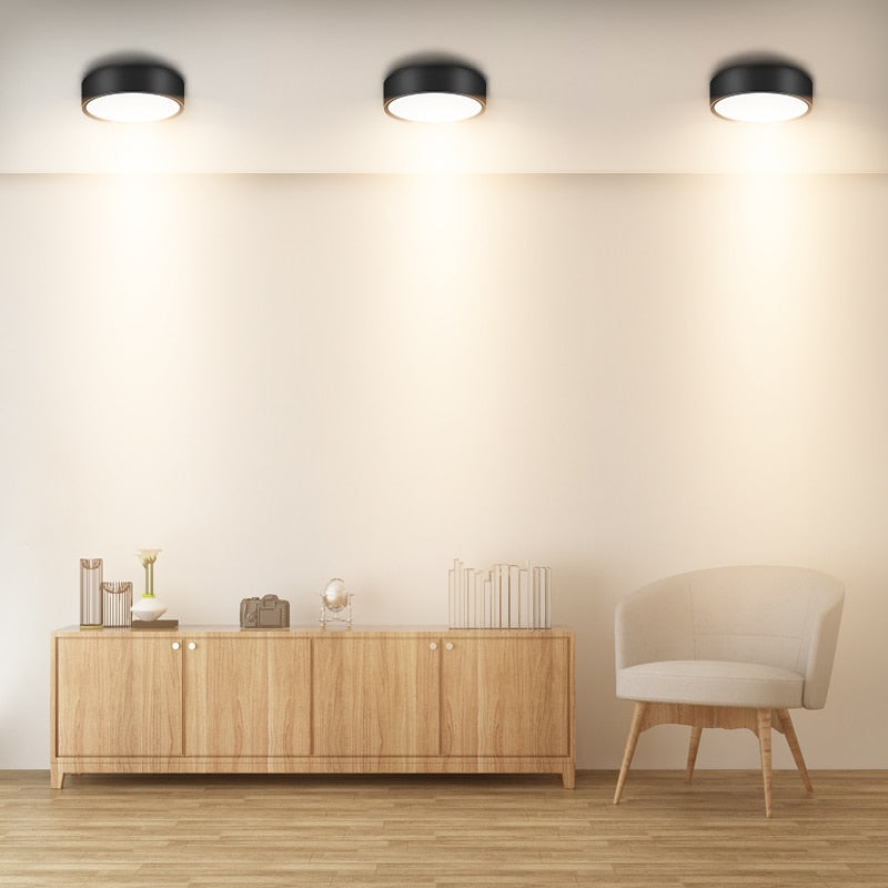 Ultra Thin Led Downlights 110V 220V Surface Mounted Led Down Light Lamp 5W 10W 15W Led Downlight for Living Room Home Lighting