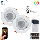Modern Nordic APP Remote Control Smart Light Bluetooth 4.0 Music Light LED Ceiling Lights for Foyer BedRoom Dining room Bedroom