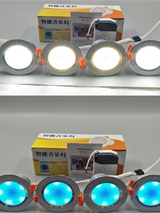 Modern Nordic APP Remote Control Smart Light Bluetooth 4.0 Music Light LED Ceiling Lights for Foyer BedRoom Dining room Bedroom