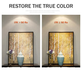 DBF 4 Different Beam Angle Recessed LED Downlight Dimmable 7W 10W LED Spot Light LED Decoration Ceiling Spot Lamp AC110V/220V