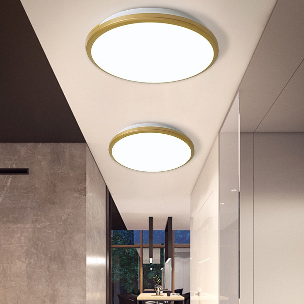 Led Ceiling Light Downlight Round 220V 12W 18W 24W 36W Modern Wall Flush Mount For Bedroom Kitchen in Living Room Outdoor lamp