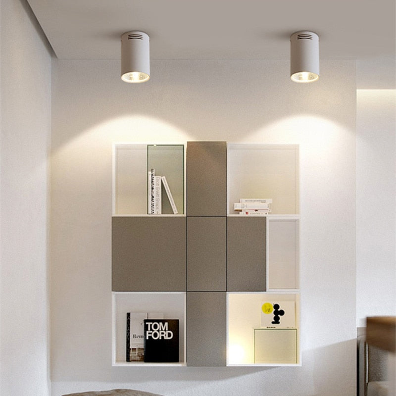 Super Bright Dimmable LED COB Ceiling Spot Lamp 7W 9W 12W 15W 18W Surface Mount Downlight for Indoor Lighting Kitchen Bedroom