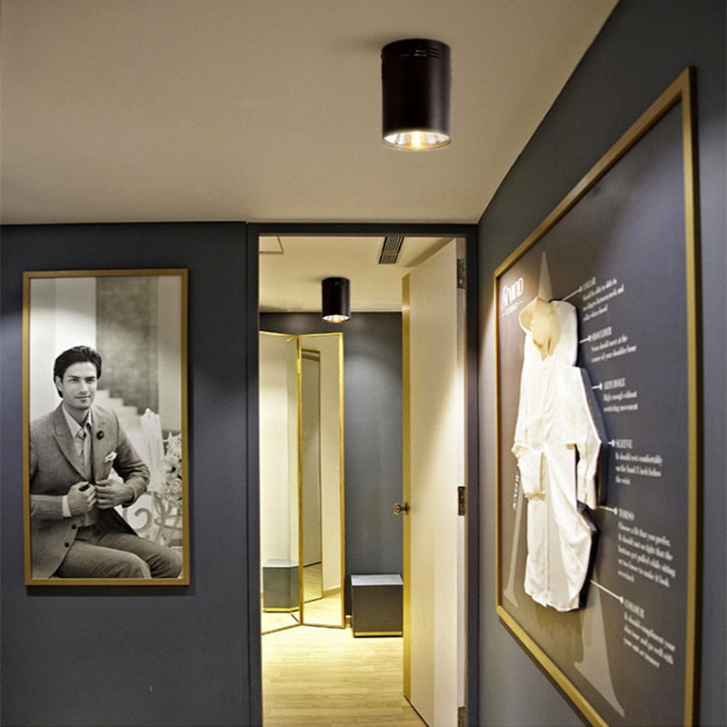 Super Bright Dimmable LED COB Ceiling Spot Lamp 7W 9W 12W 15W 18W Surface Mount Downlight for Indoor Lighting Kitchen Bedroom