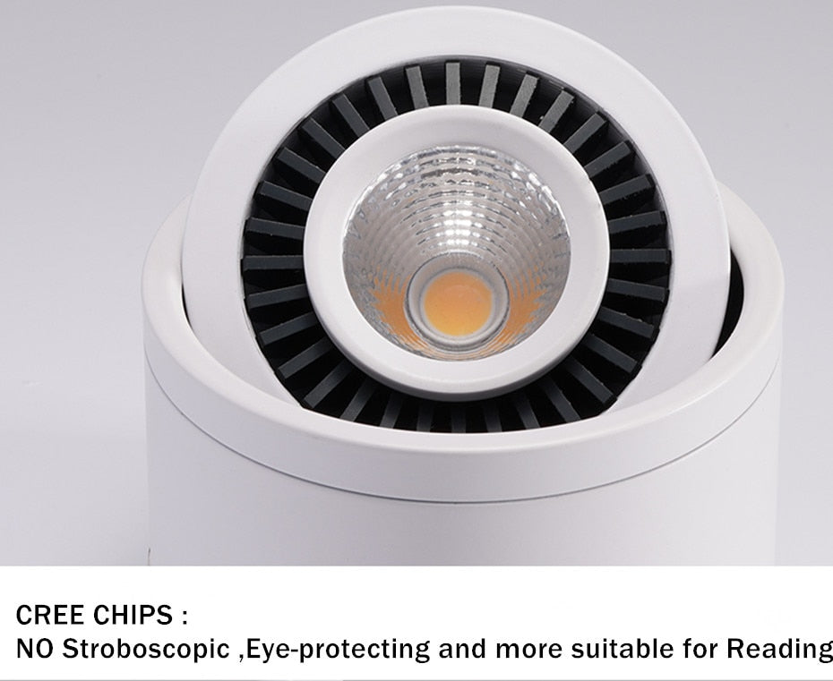 Dimmable COB LED Downlight Surface Mounted Light Fixture 360 Degree Rotating lamp for Kitchen Bathroom Living Room Bedroom