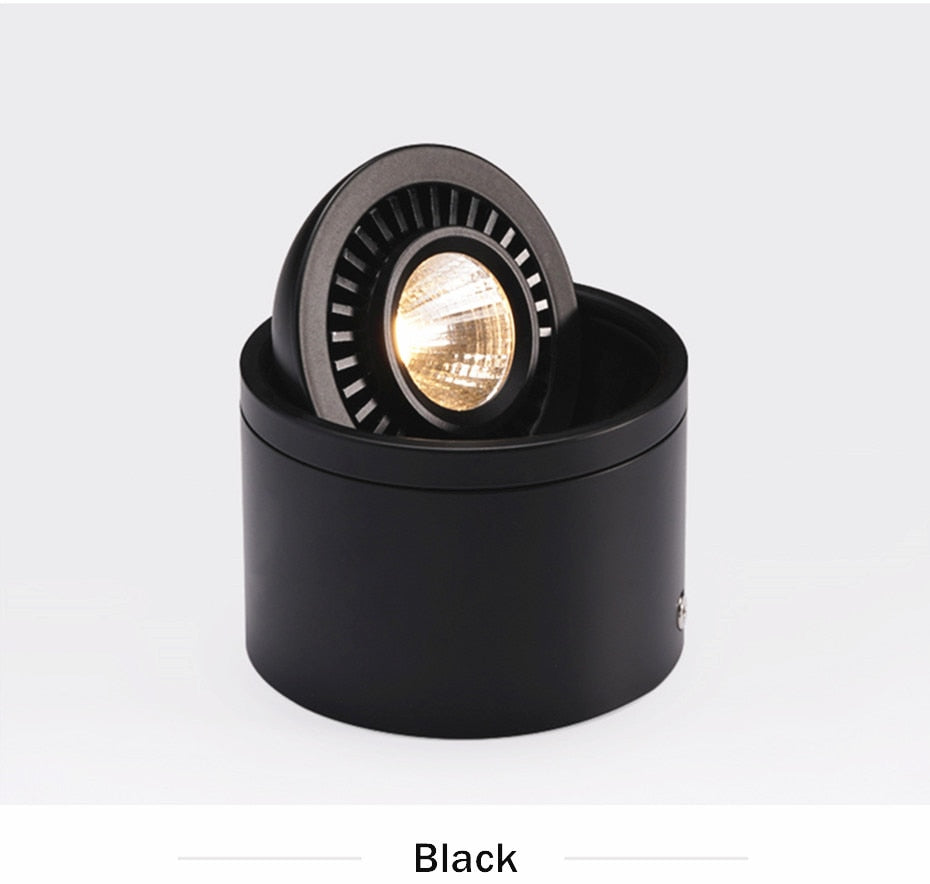 Dimmable COB LED Downlight Surface Mounted Light Fixture 360 Degree Rotating lamp for Kitchen Bathroom Living Room Bedroom
