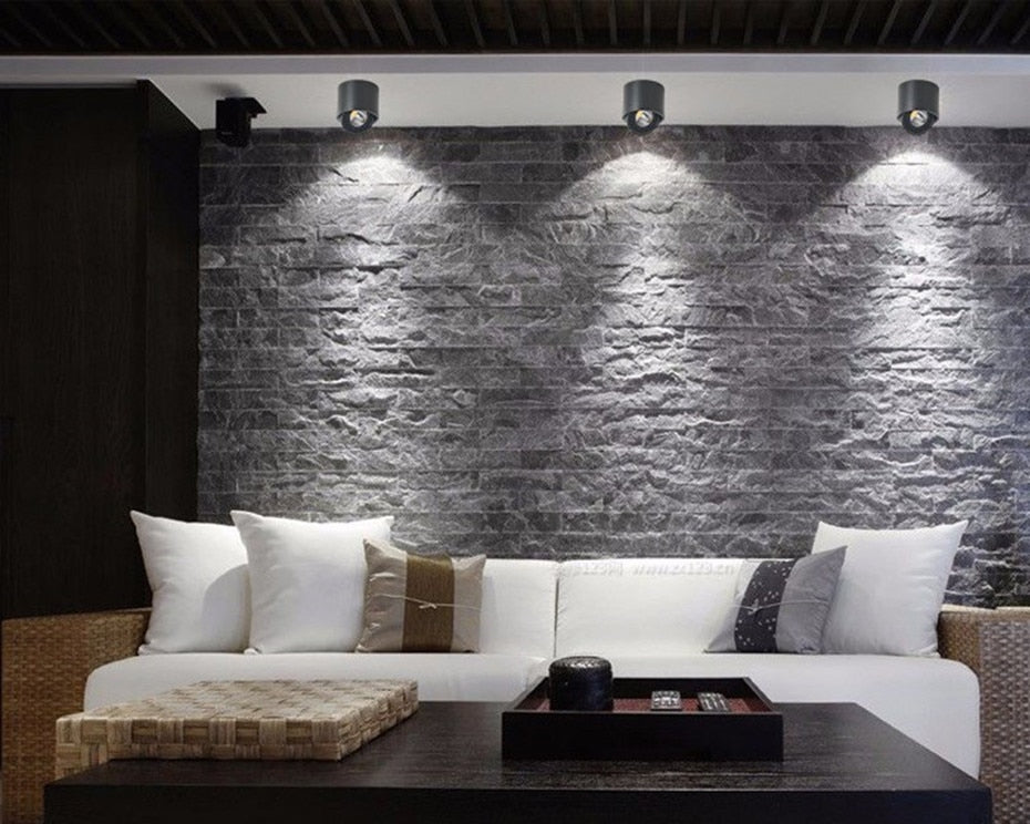 Dimmable COB LED Downlight Surface Mounted Light Fixture 360 Degree Rotating lamp for Kitchen Bathroom Living Room Bedroom