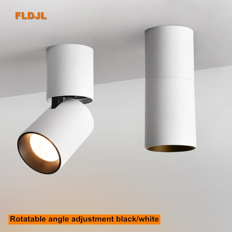 Dimmable Rotating LED Downlights 10W 15W 20W Surface Mounted adjustment COB LED Ceiling Spot Lights AC110-220V LED Ceiling Lamp