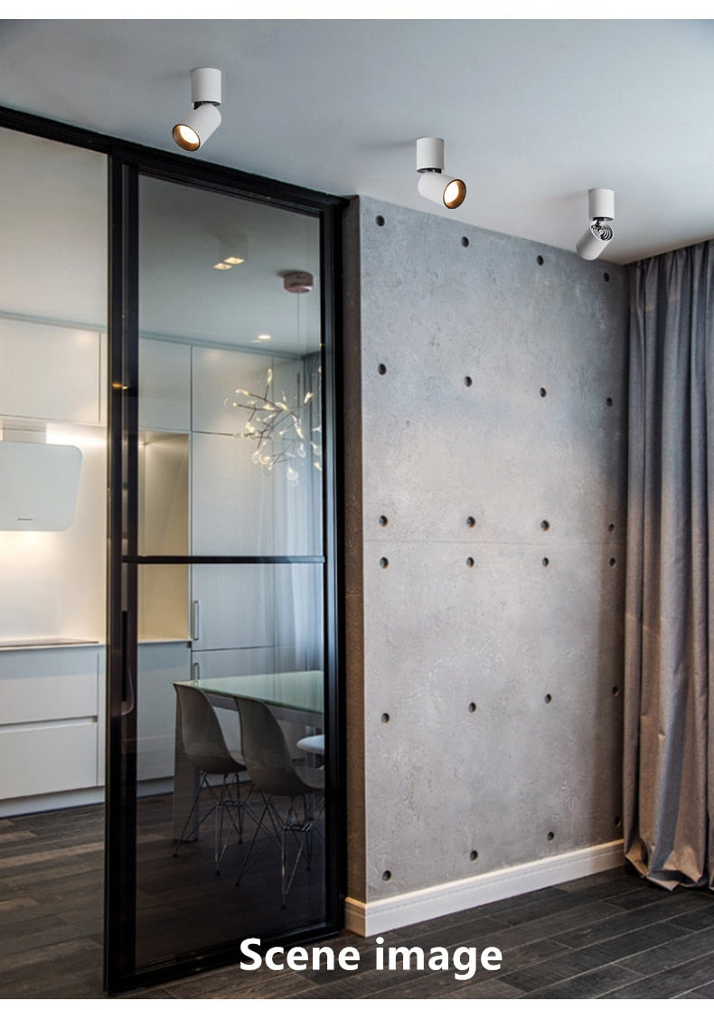 Dimmable Rotating LED Downlights 10W 15W 20W Surface Mounted adjustment COB LED Ceiling Spot Lights AC110-220V LED Ceiling Lamp