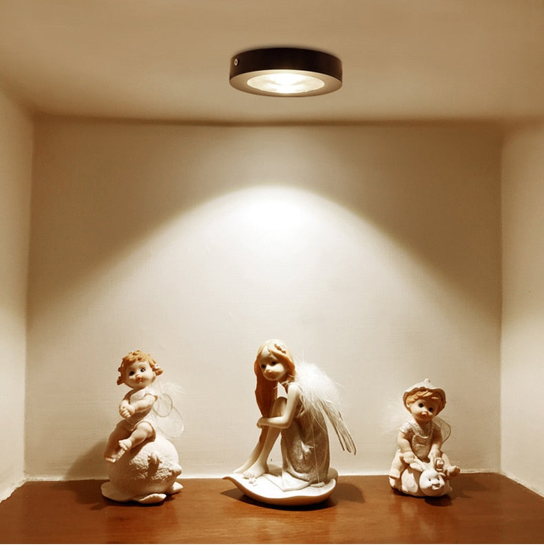 Surface mounted downlight 5W/10W led wine cabinet spotlight ceiling light show counter living room light